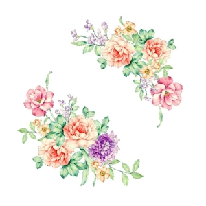 Vinilos decorativos de flores de peonía para niñas con fondo blanco